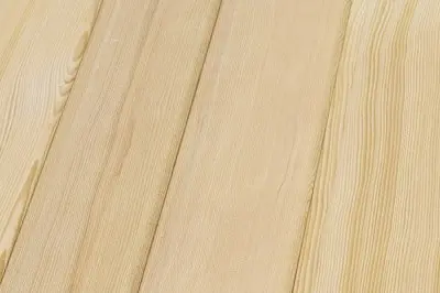 Hemlock