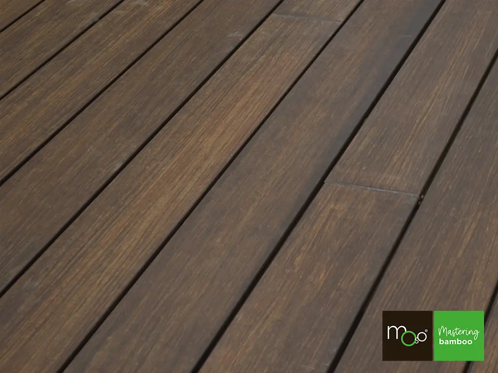 18-204635~~34~TD_Moso_155_fein_FS34