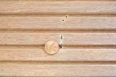 Pinhole