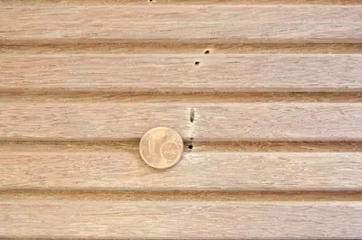 Pinhole
