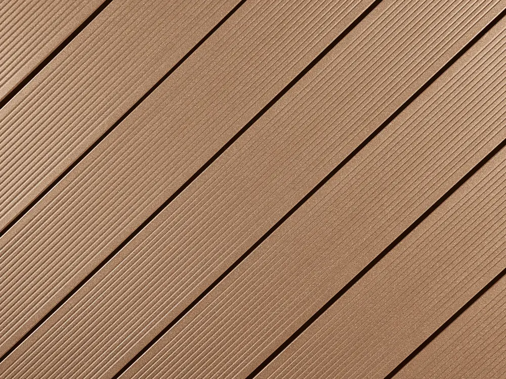 18-202424~~01~Die_Kernige_terrabraun01