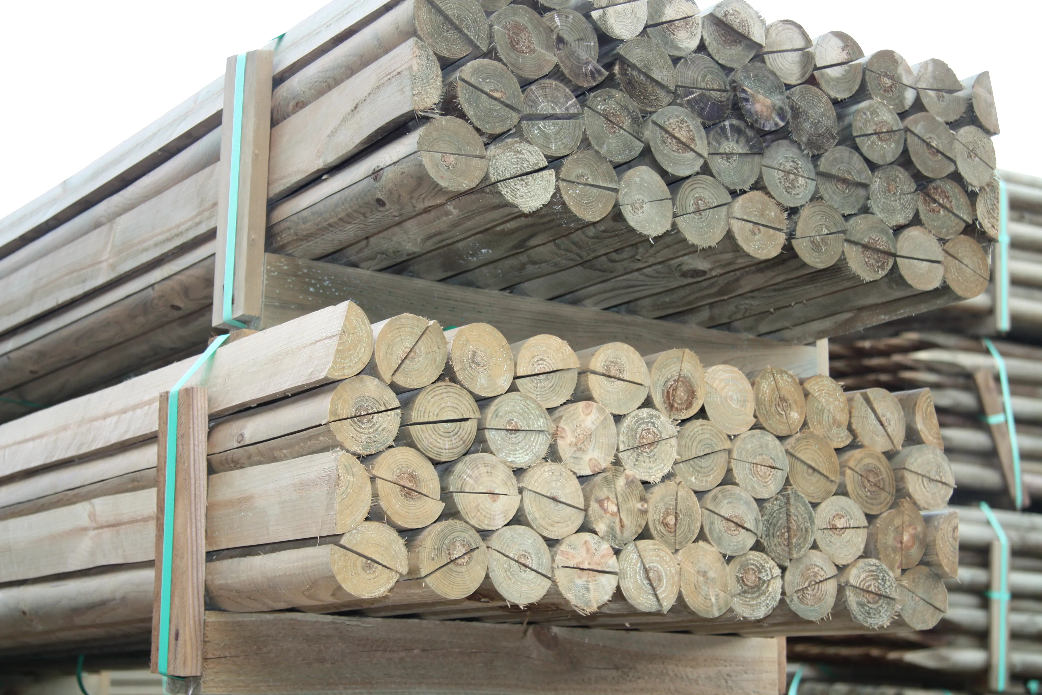 00002523~~02~Kiefer_Fichte_Halbholzriegel