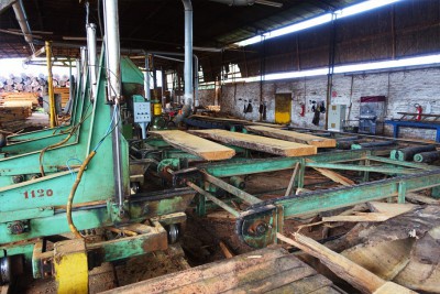 woher-kommt-das-holz-10