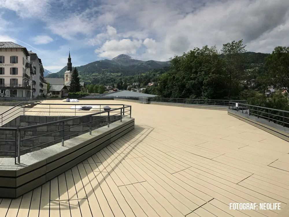 00020716~~05~NEOLIFE-IMG_0138_