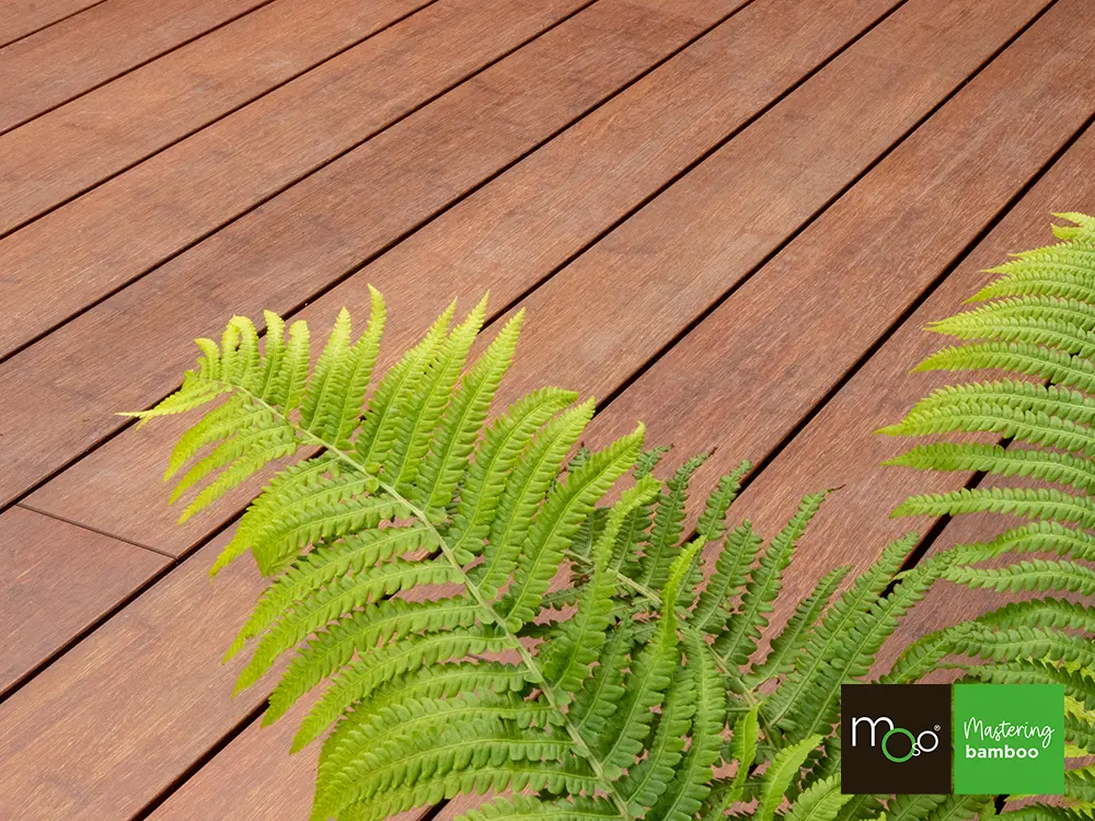 18-204658~~05~Moso_TD_Ndurance_137_FS5