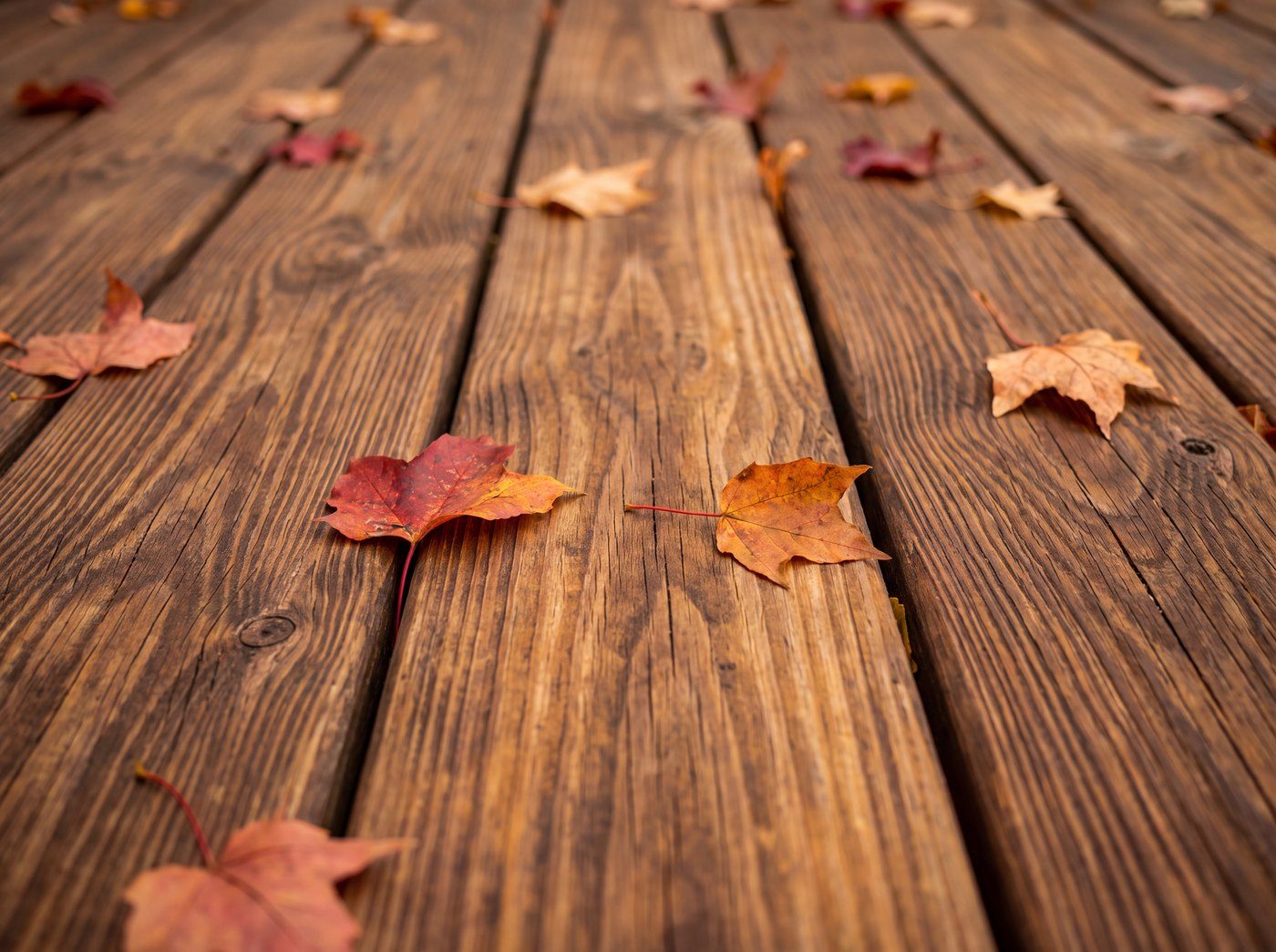 Herbstlaub in Rot und Orange auf einem verwitterten Holzdielenboden mit sichtbaren Fugen zwischen den Dielen