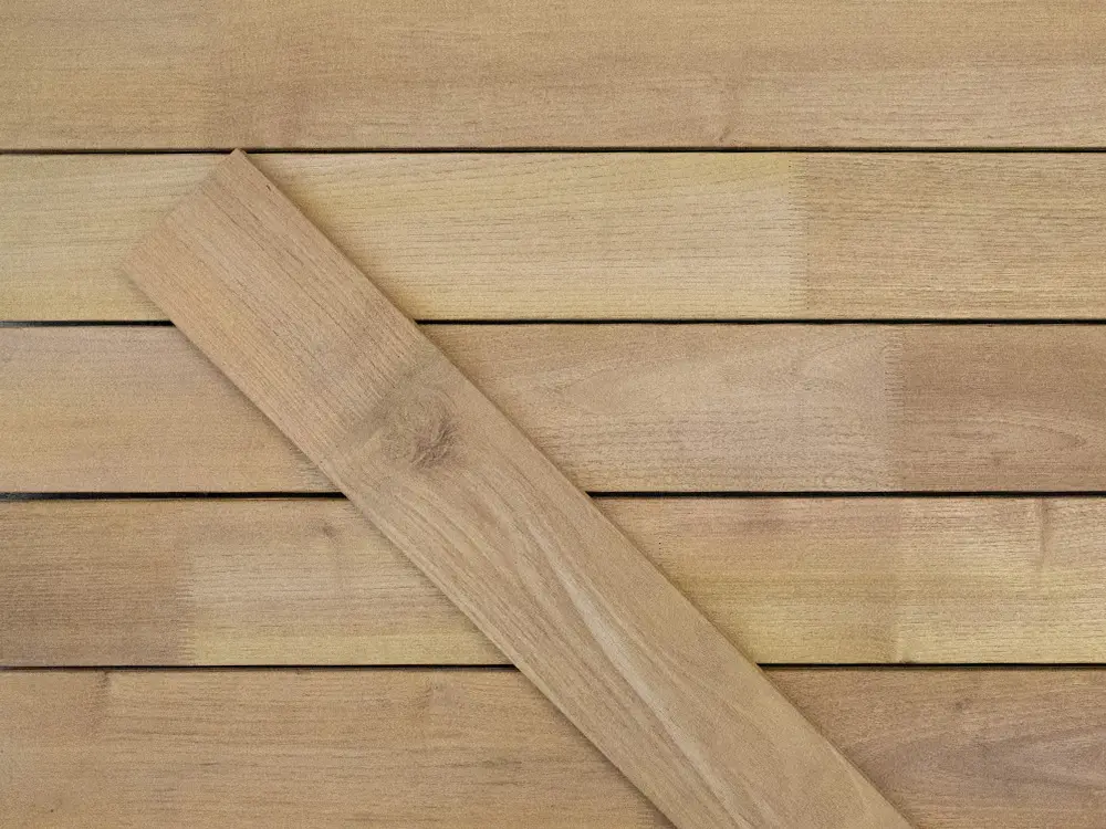 18-204623~~15~Robinie_TD_23x118_05