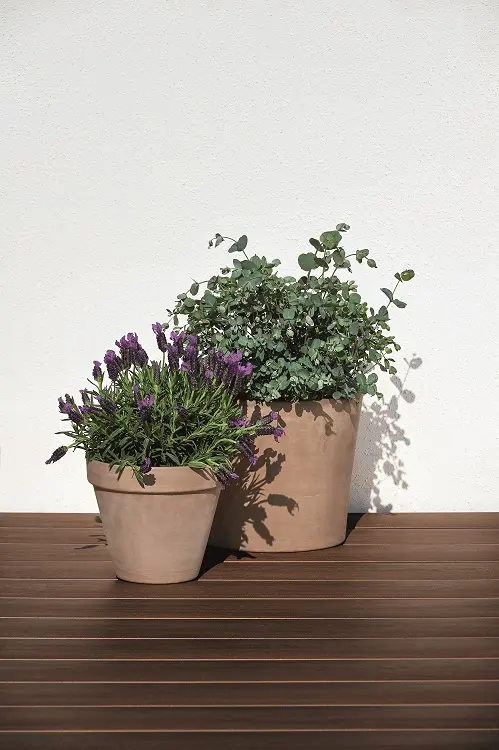 18-201432~~02~Die_Smarte_Naturlinie_kastanienbraun2