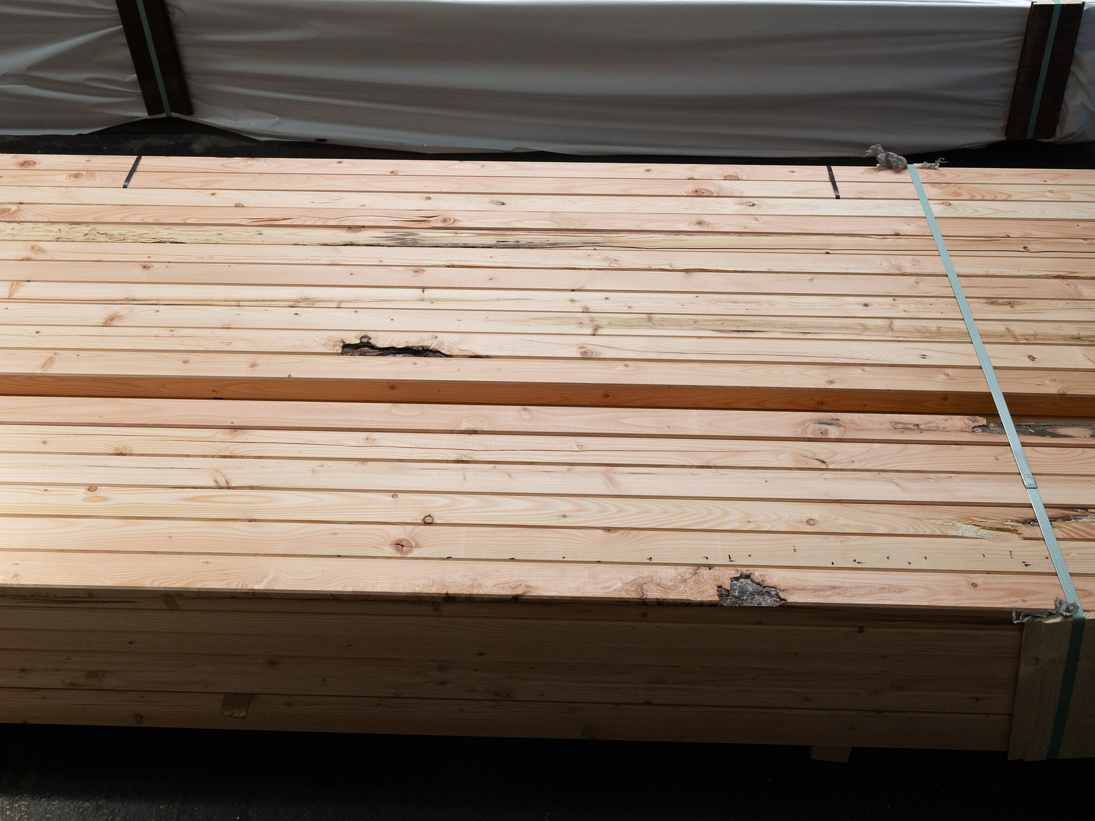 18-220601-B~~13~Kanadische_Douglasie_Konstruktionsholz_45x60mm13