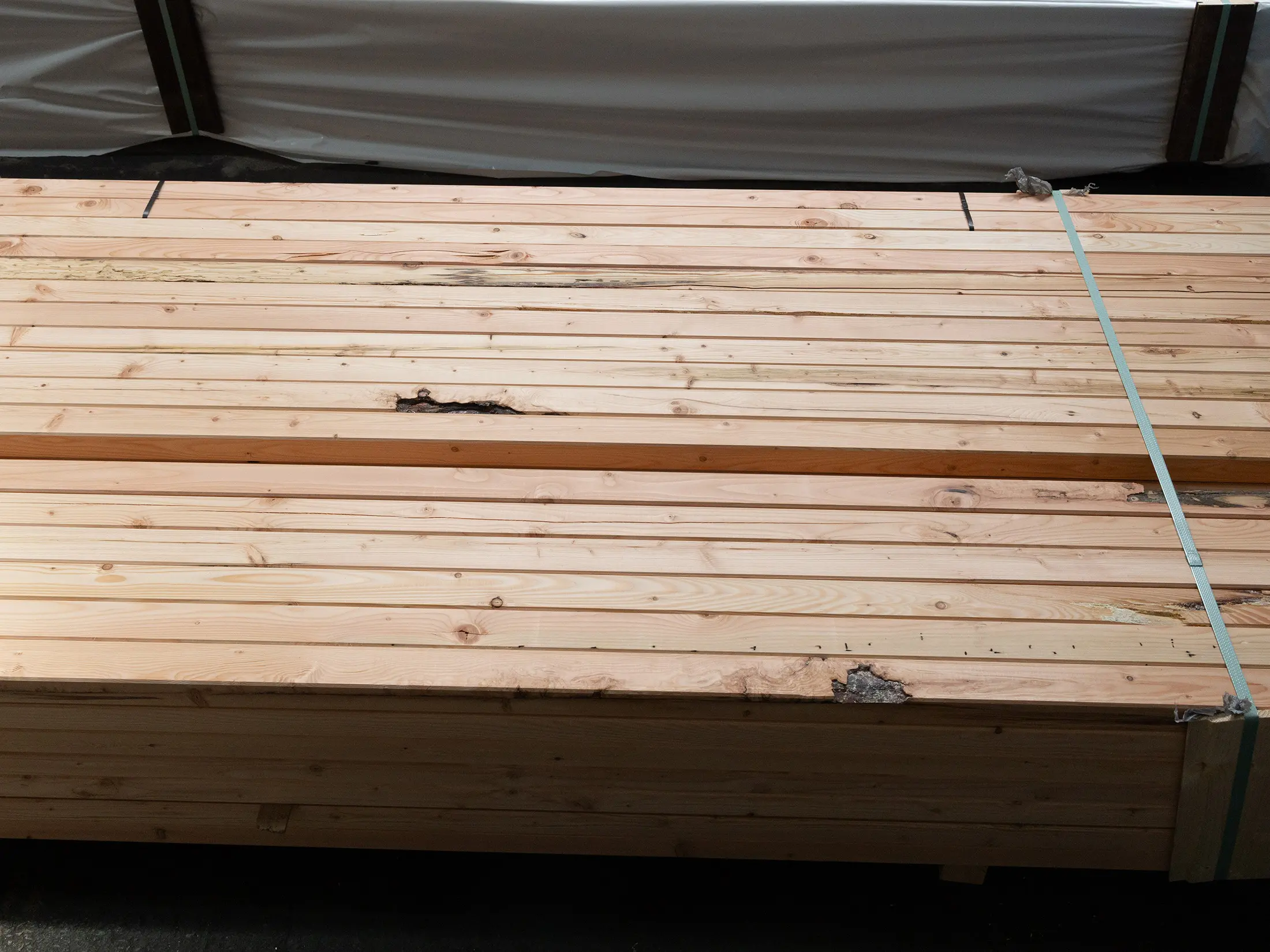 18-220601-B~~13~Kanadische_Douglasie_Konstruktionsholz_45x60mm13