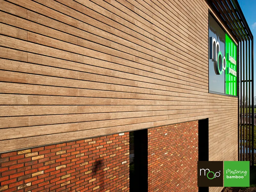 18-204708~~01~Moso_Rhombusprofil75_OBJ01