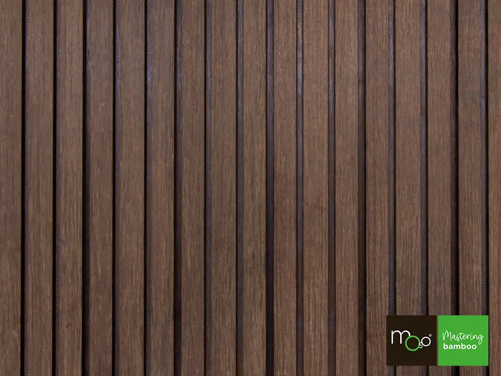 18-204712~~34~Triplerhombus_Moso_FS34