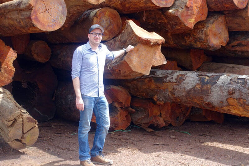Woher kommt das Holz? (Teil 2)
