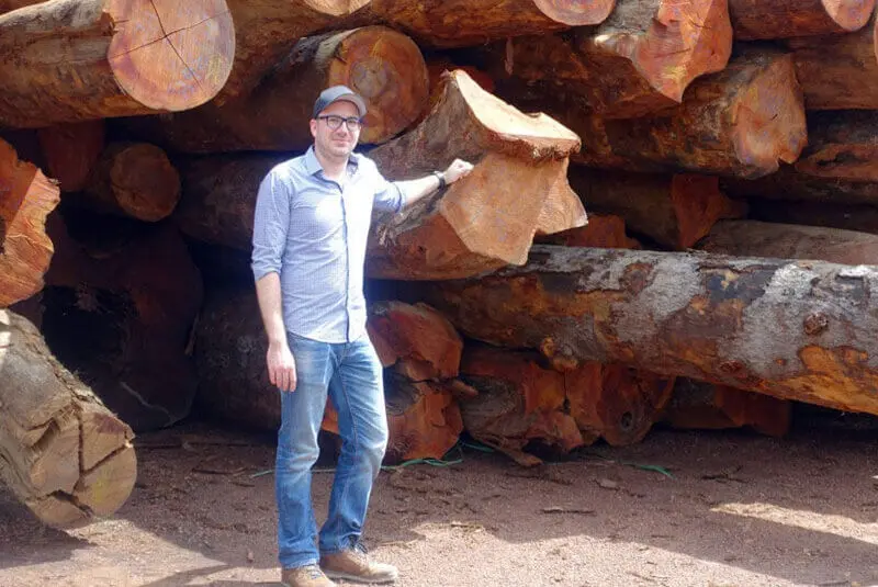 Woher kommt das Holz? (Teil 2)
