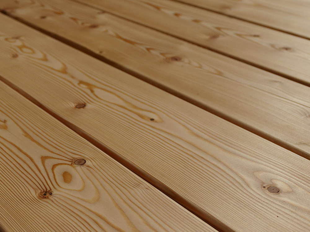 18-220330-B~~26~Kanadische_Lareche_27x143_glatt_Glatt_06