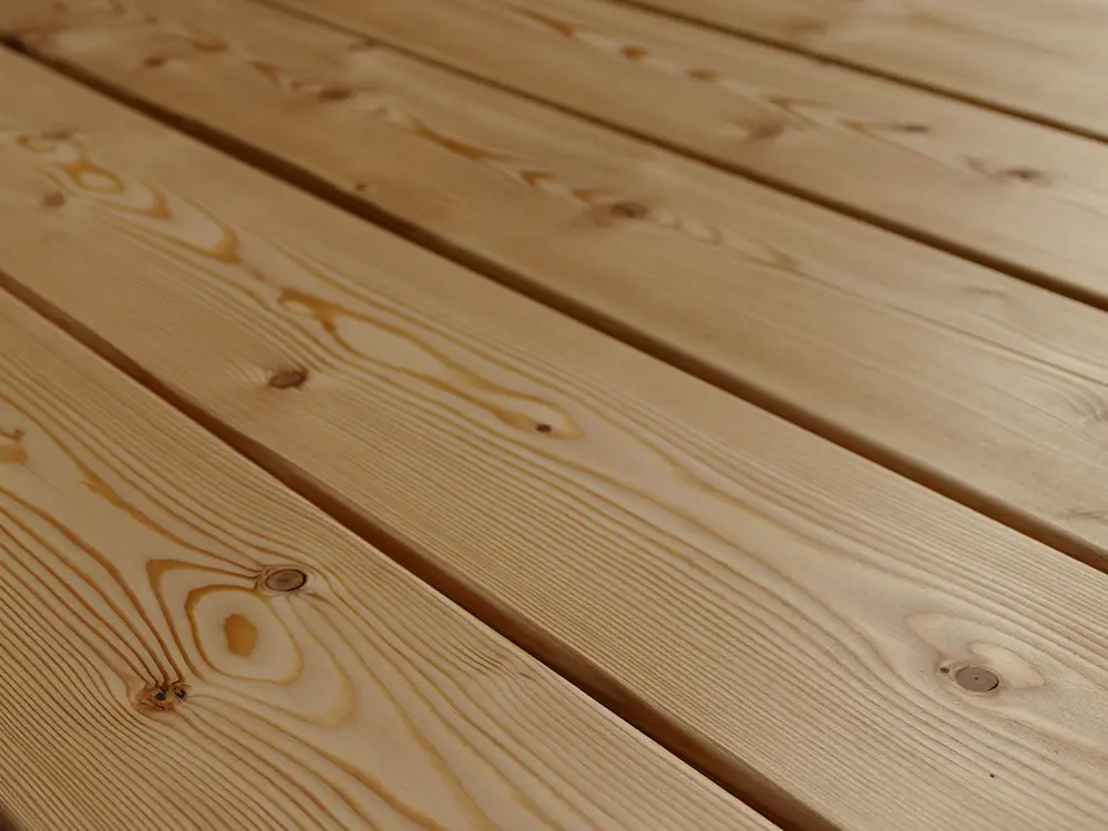 18-220330-B~~26~Kanadische_Lareche_27x143_glatt_Glatt_06