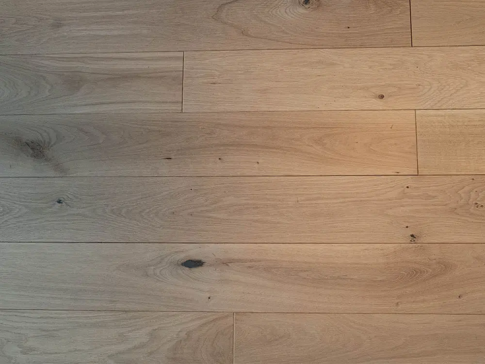 00055505~~05~MHD_Eiche