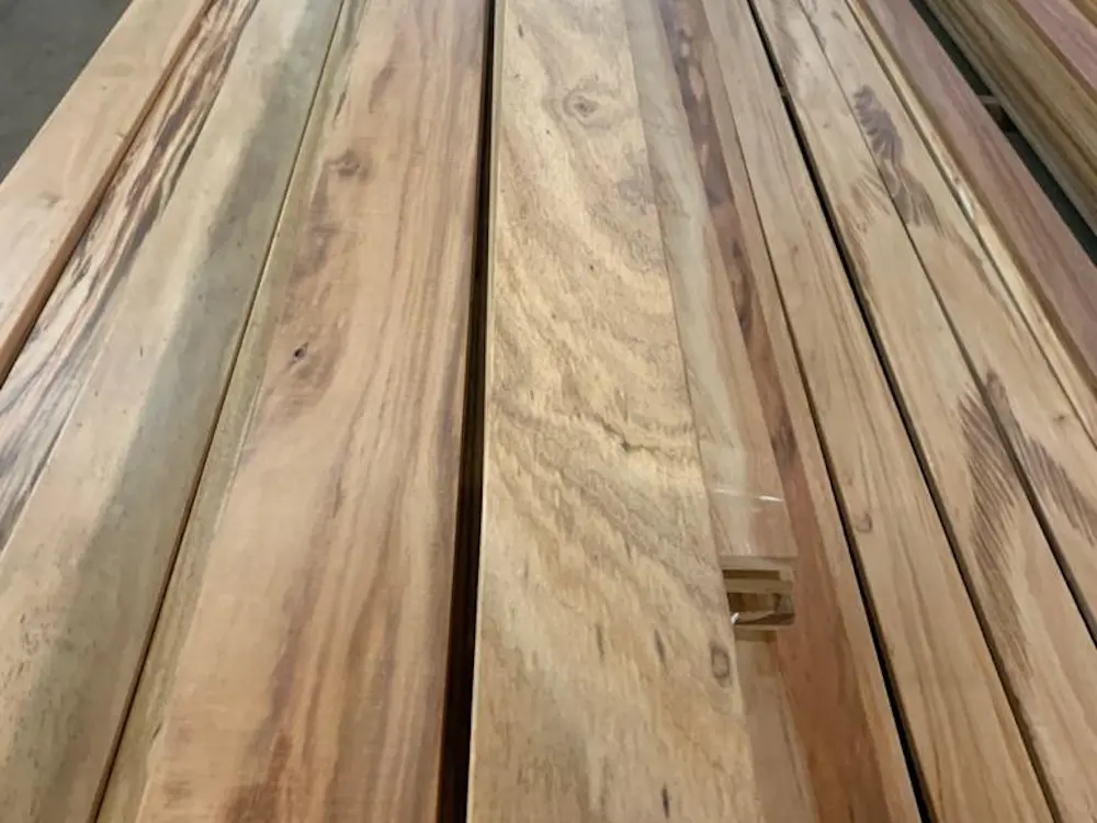 18-204876~~06~Muiracatiara_21x70_06