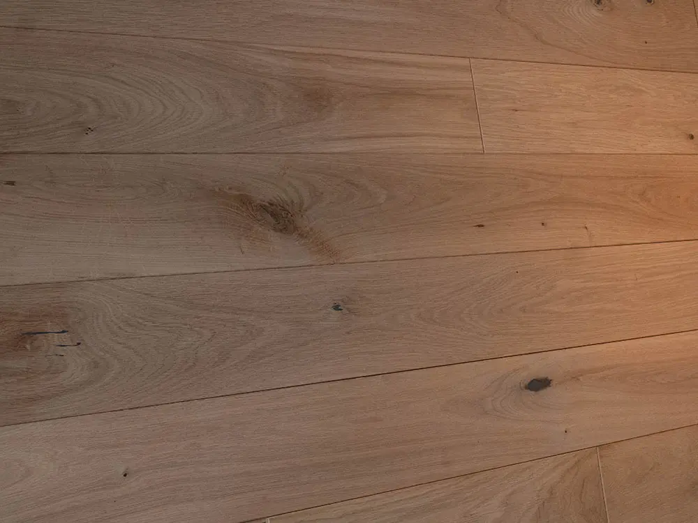 00055505~~03~MHD_Eiche