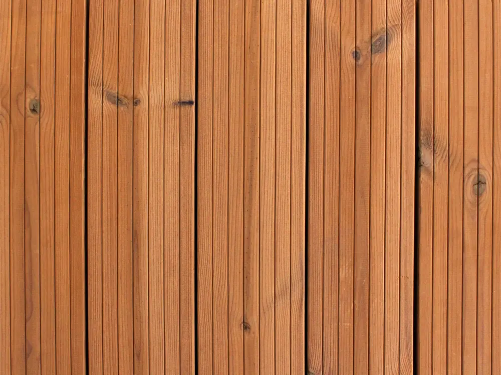 18-201069~~01~Flaeche_IMG_3829