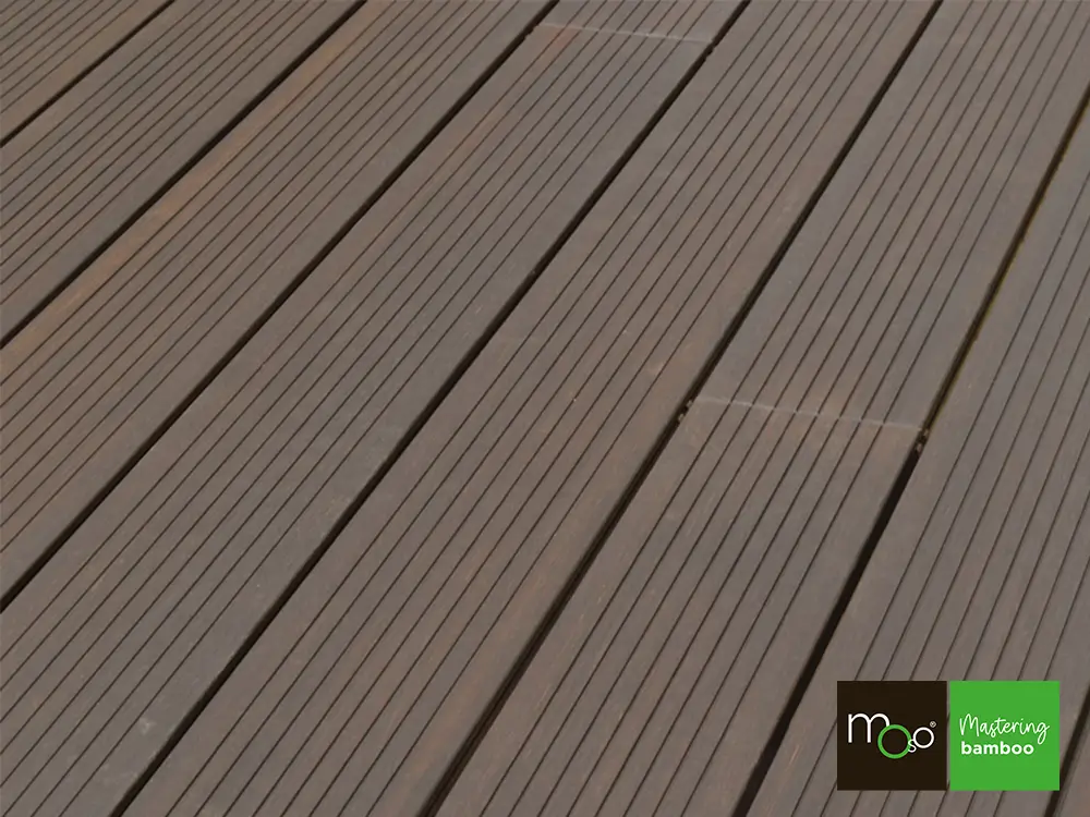 18-204635~~33~TD_Moso_155_fein_FS33