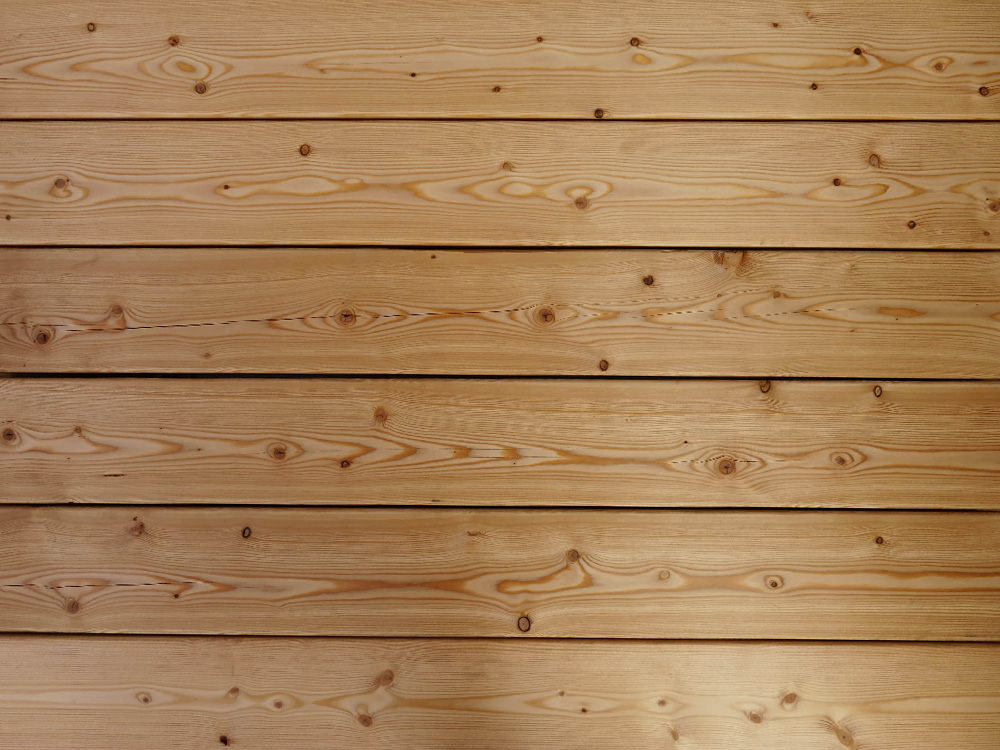 18-220330-B~~25~Kanadische_Lareche_27x143_glatt_Glatt_05