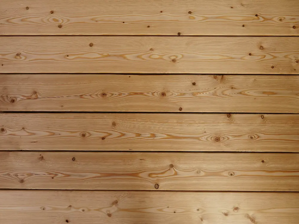 18-220330-B~~25~Kanadische_Lareche_27x143_glatt_Glatt_05