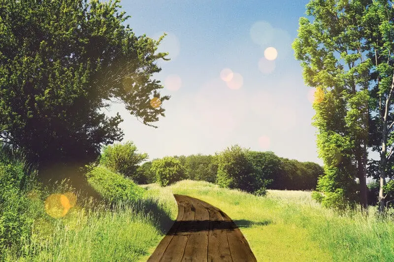 "sich auf dem Holzweg befinden" - Woher kommt der Ausdruck?