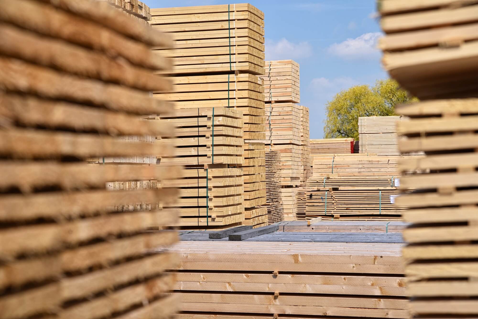 Holz wird draußen gelagert
