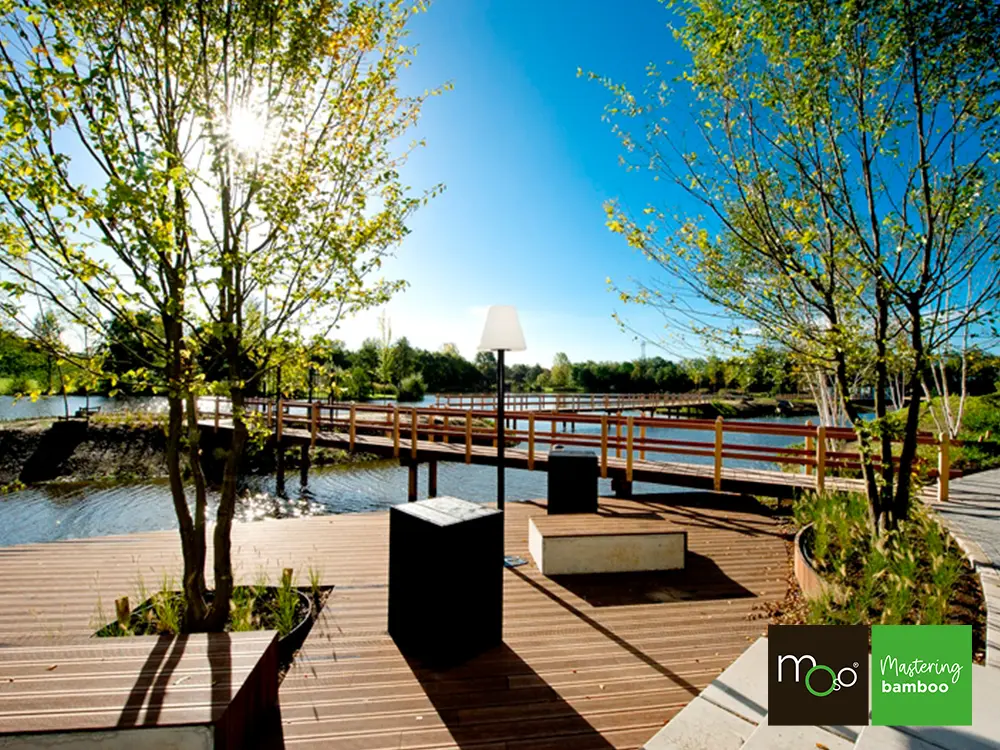 18-204635~~03~OBJ03_Moso_TD_155_fein_gebuerstet