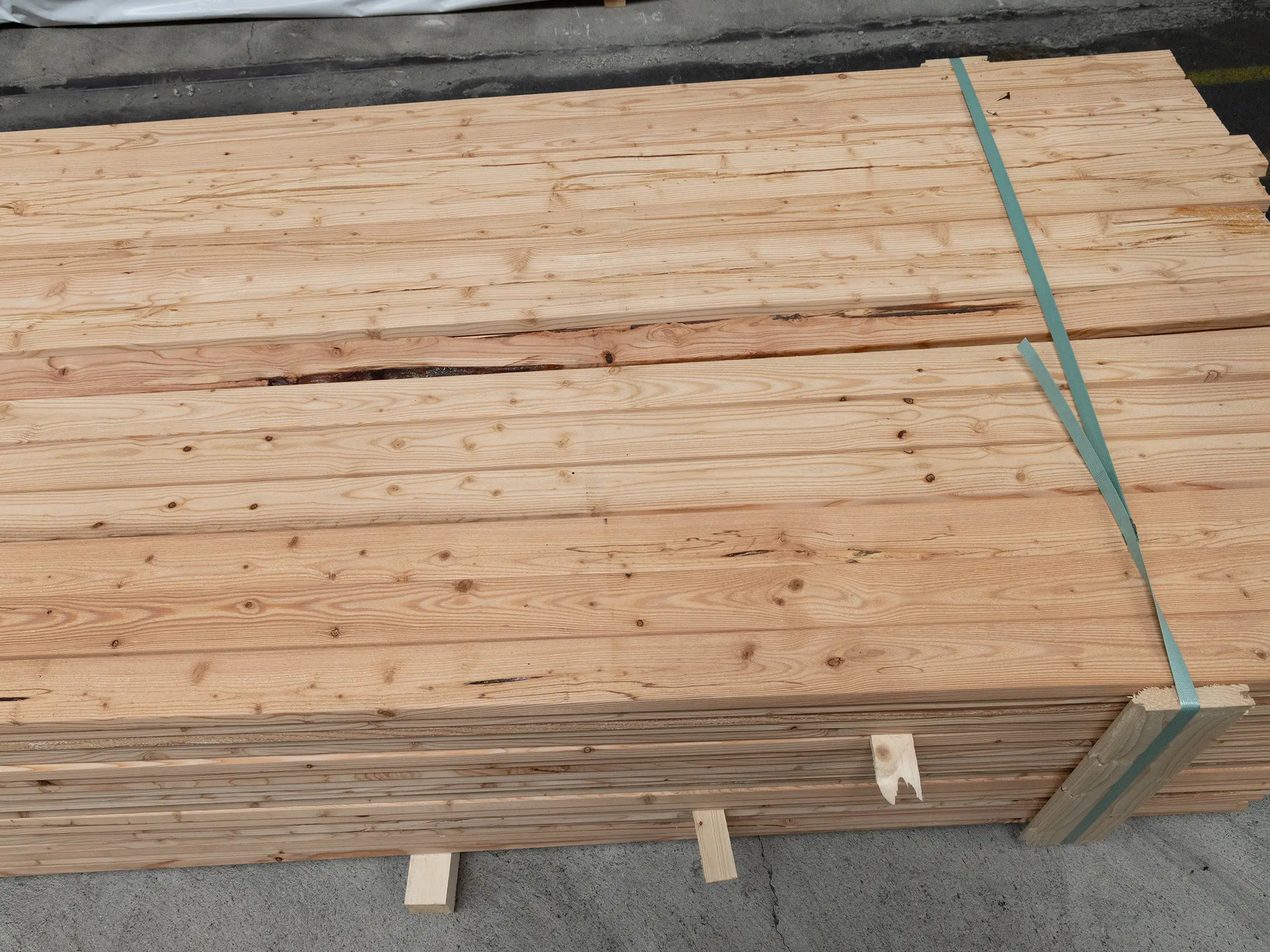 18-220594-B~~09~Kanadische_Laerche_Rhombusleisten_20x68mm_9