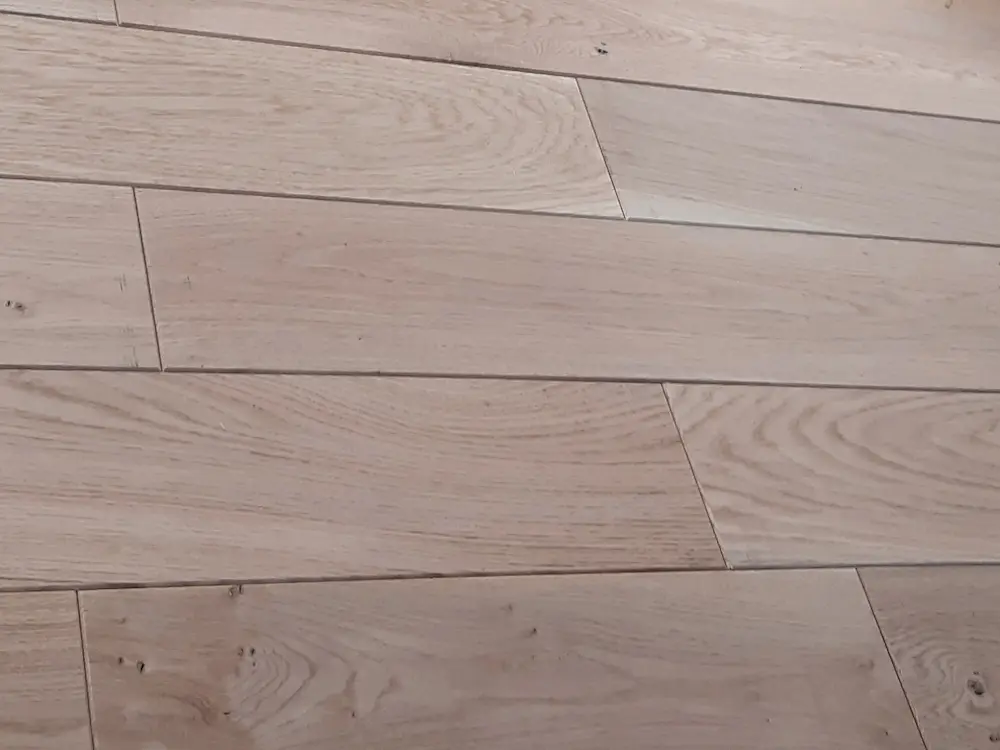 00055505~~01~Eiche_MHD_N2