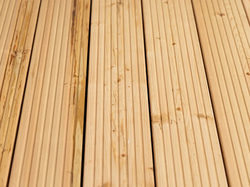 18-220334-B~~23~Kanadische_Douglasie_27x143_grob_grob_03