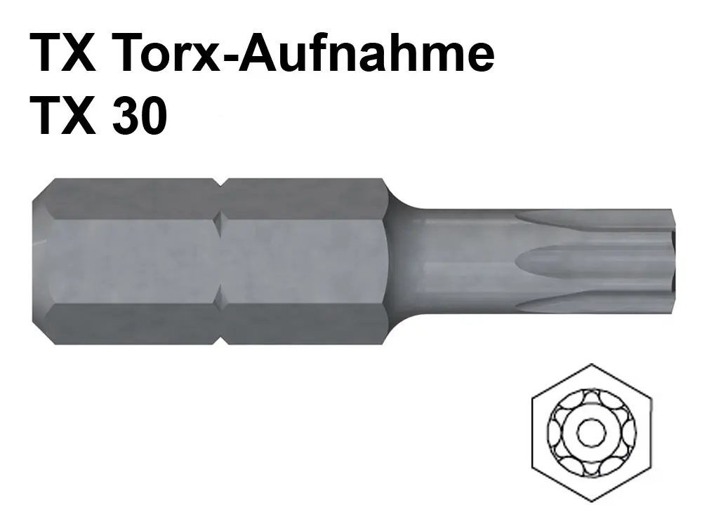 00010364~~1~REISSER_Bits_TX_Torx_Aufnahme_TX_30_Stahl_blank