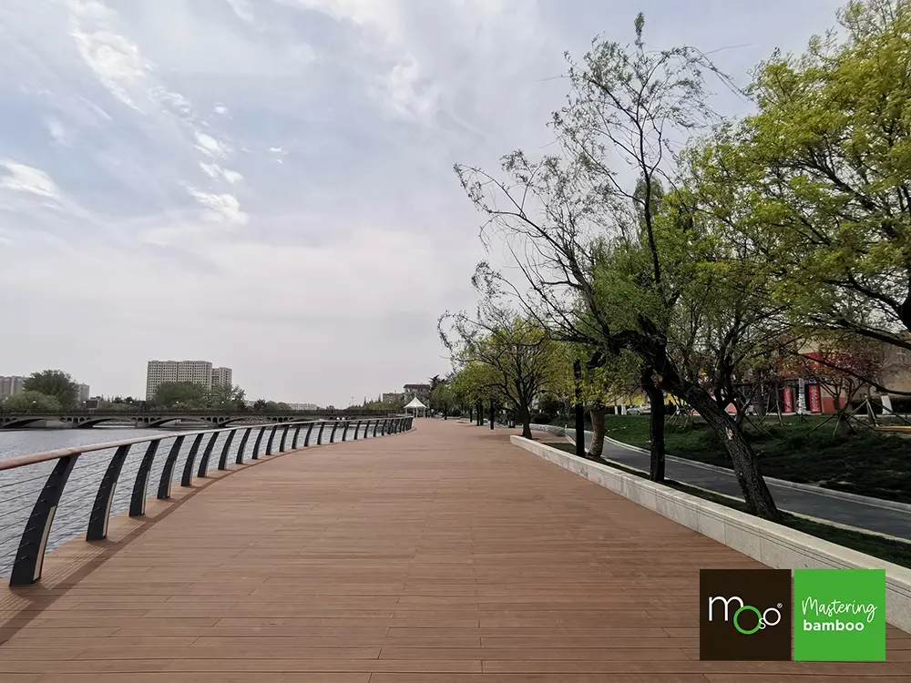 18-204643~~11~Moso_TD_Ndurance_Obj11