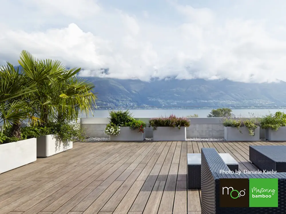 18-204640~~01~OBJ01_Moso_TD_155_bombiert_gebuerstet