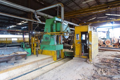 woher-kommt-das-holz-09