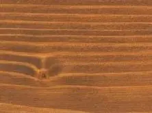 00016245~~02~osmo_dekorwachs_transparent_nussbaum_3166