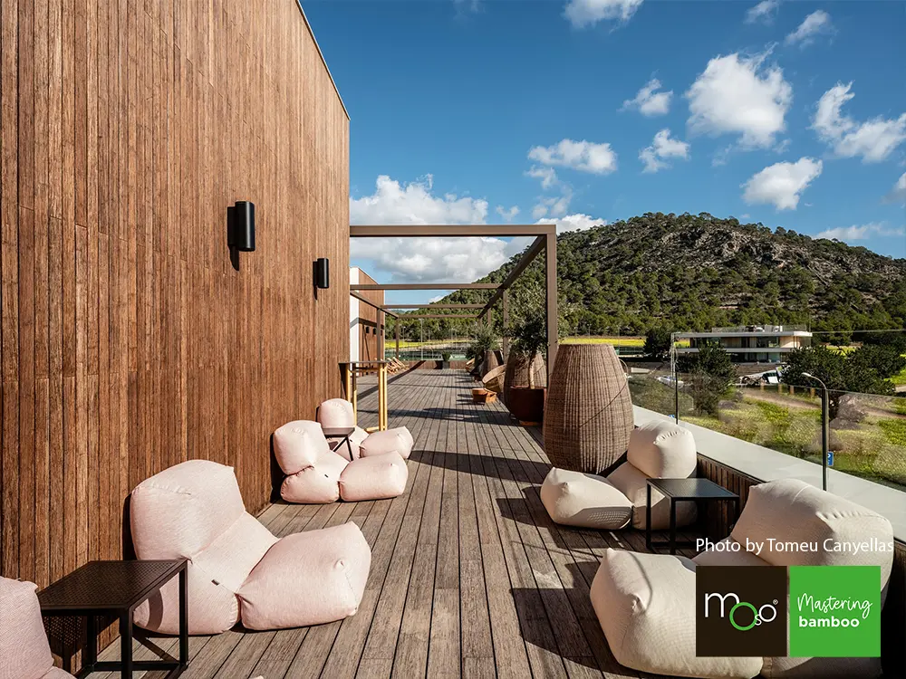 18-204640~~06~OBJ06_Moso_TD_155_bombiert_gebuerstet