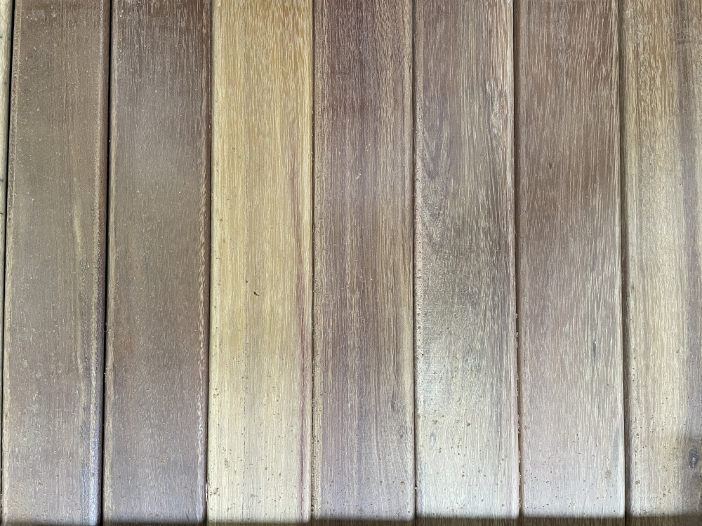 18-204117~~04~Tanimbuca_Rhombus_Lager04