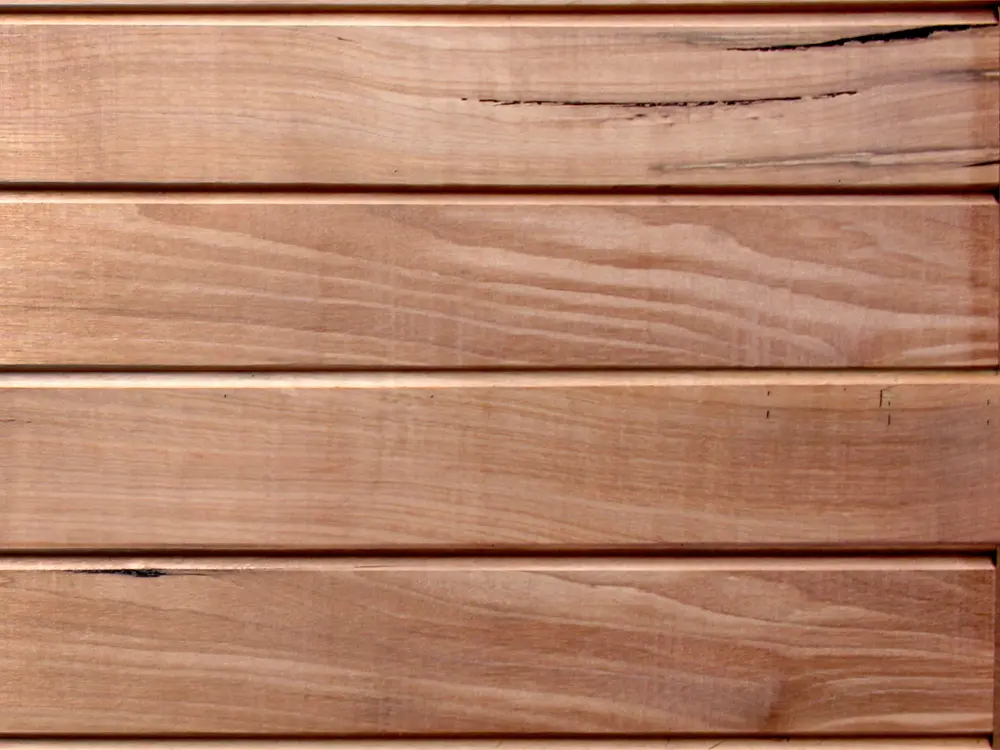 00061605~~03~Zaunelement