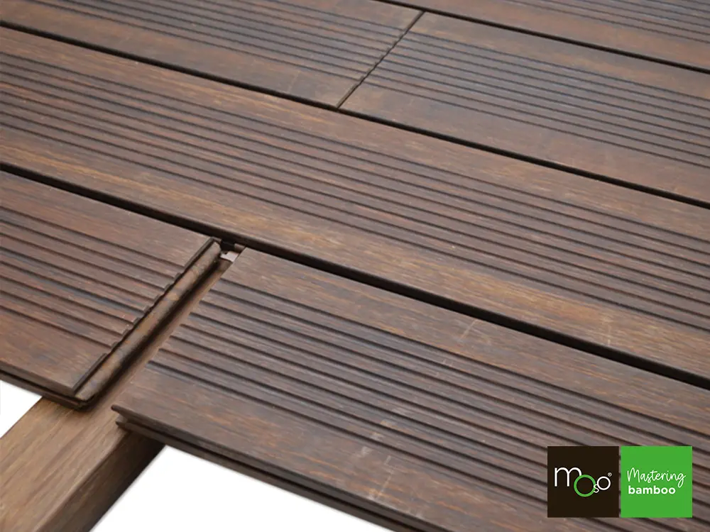 18-204645~~10~Moso_Clip10