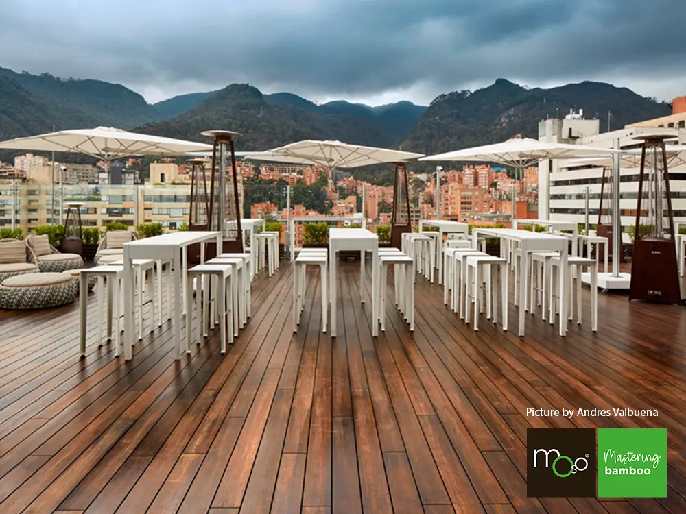 18-204636~~03~OBJ03_Moso_TD_137_grob