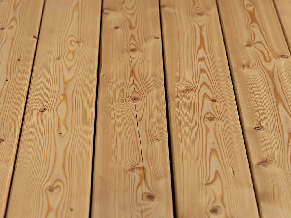 18-220330-B~~23~Kanadische_Lareche_27x143_glatt_Glatt_03