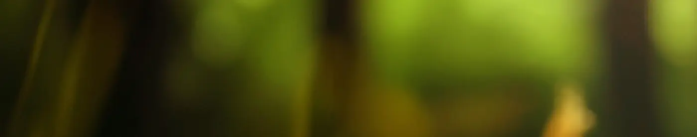 Nachhaltigkeit_Hinterg