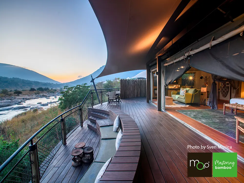 18-204636~~05~OBJ05_Moso_TD_137_grob