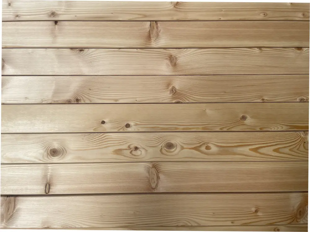 18-204237~~20~kanadische_Laerche_Lager20