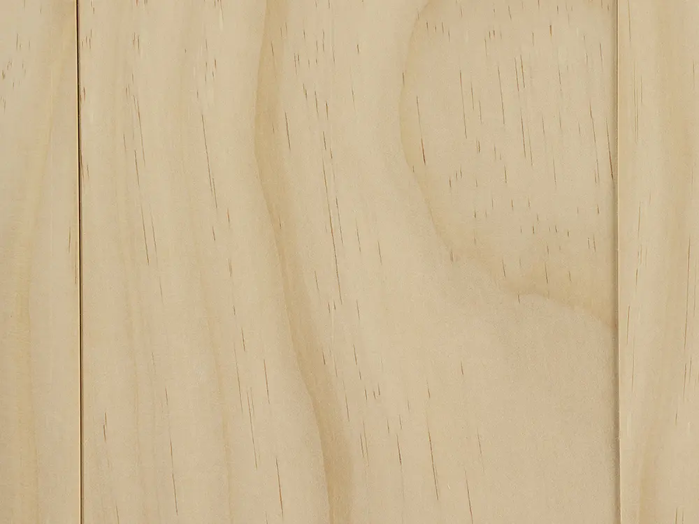 18-201414~~57~Accoya_Freisteller8