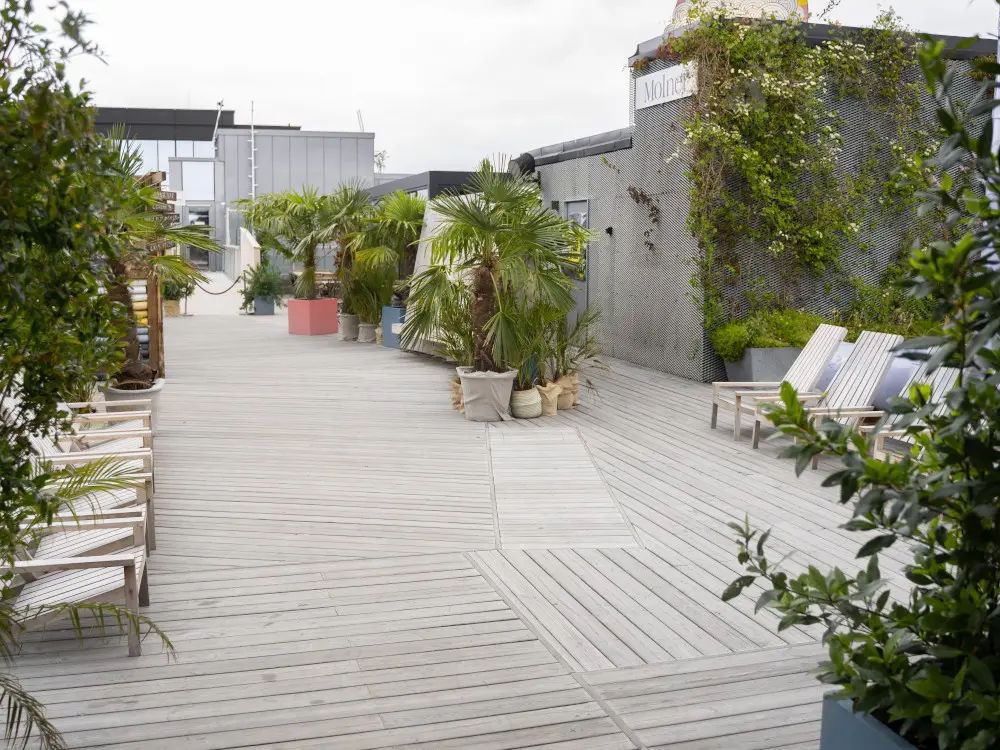 18-204524~~05~Organo_Nowa05