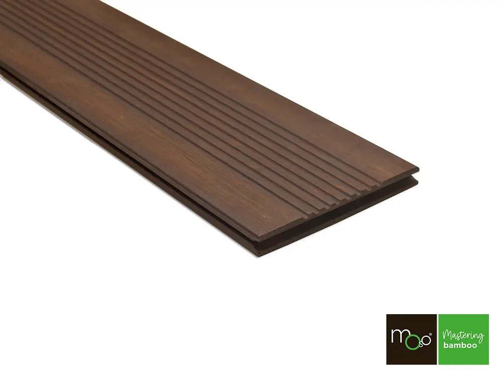 18-204631~~36~TD_Moso_178_FS36